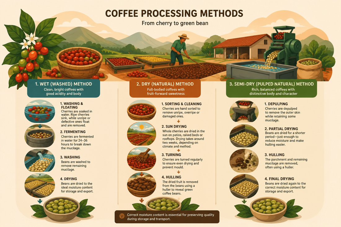 Processing Coffee